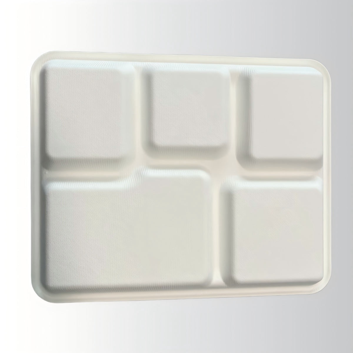 Compostable Disposable Food Container Sugarcane 5 Compartment Plate