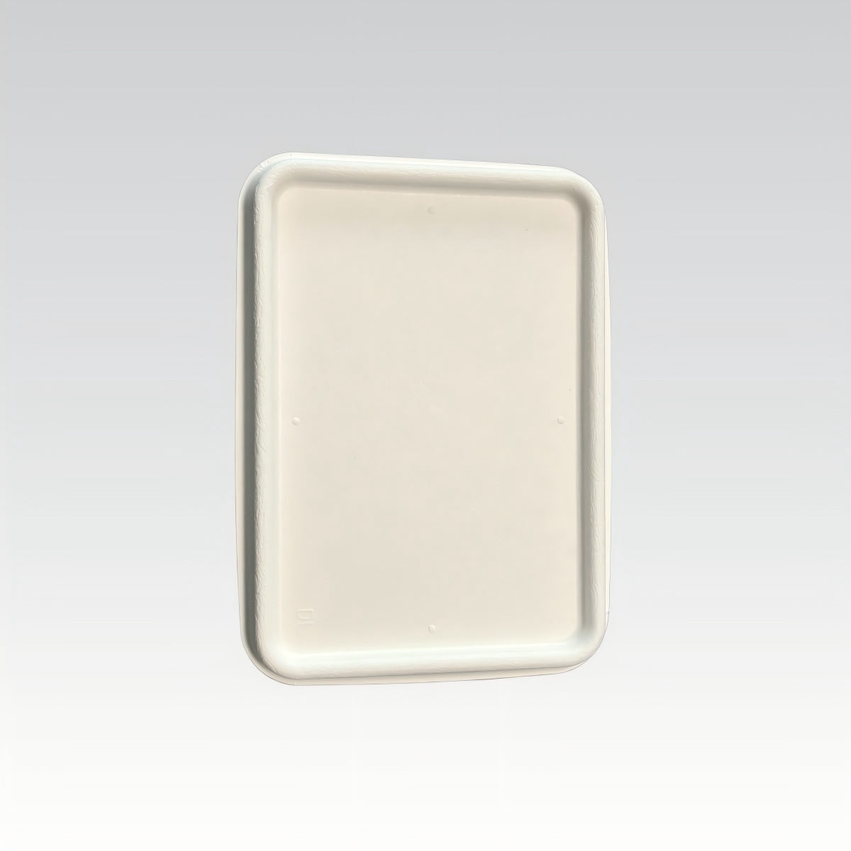 Tableware Sugarcane Bagasse Tray Food Container Rectangular Plate