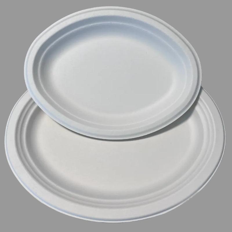 Disposable 10 Inch Plate Dish Eco-Friendly Minimalist Design Biodegradable Bagasse Tableware Environmental Protection