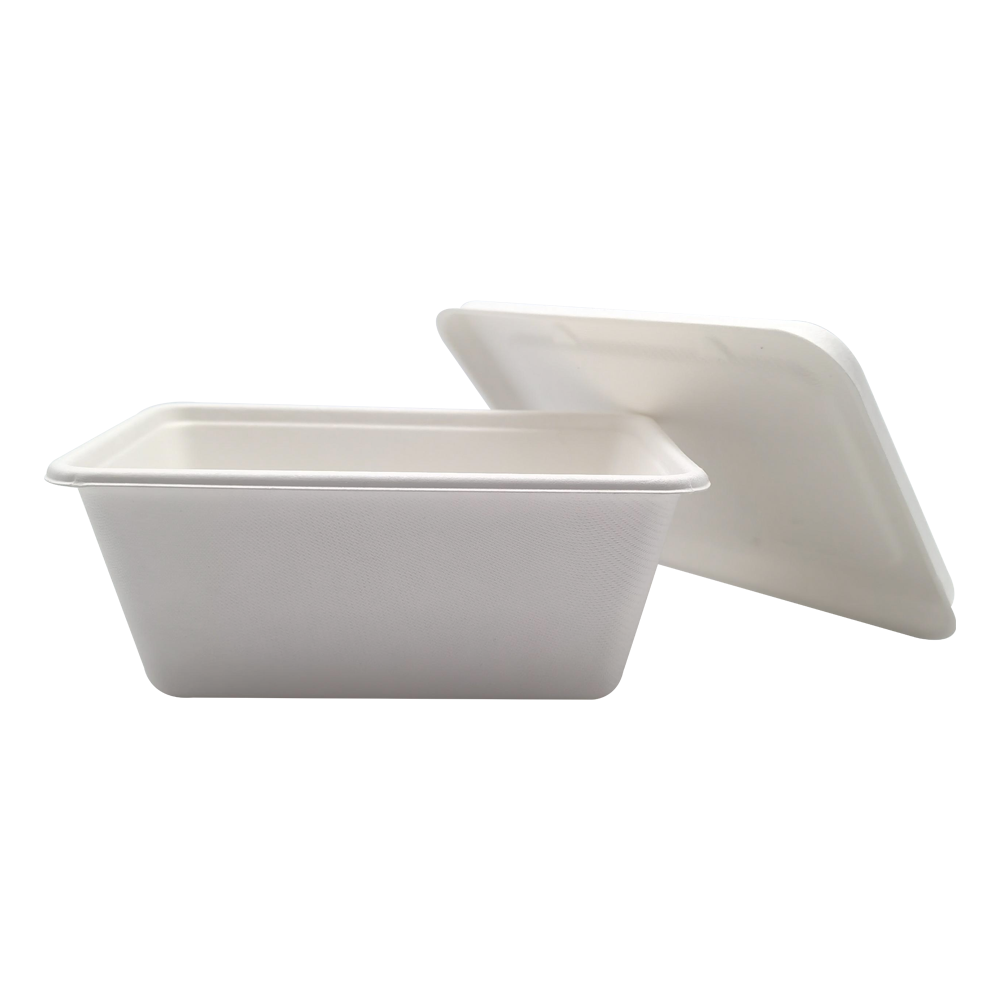 Biodegradable Sugarcane Bagasse 500ml Tiffin Box Disposable Lunch Container for Take Away Food