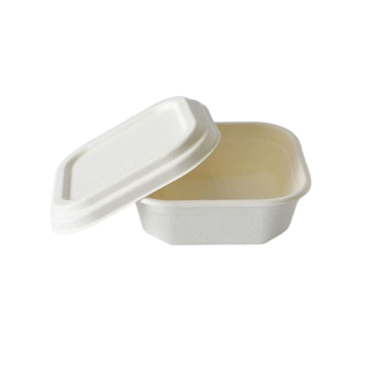 Disposable Square Biodegradable Sugarcane Bagasse Bowl with Lid
