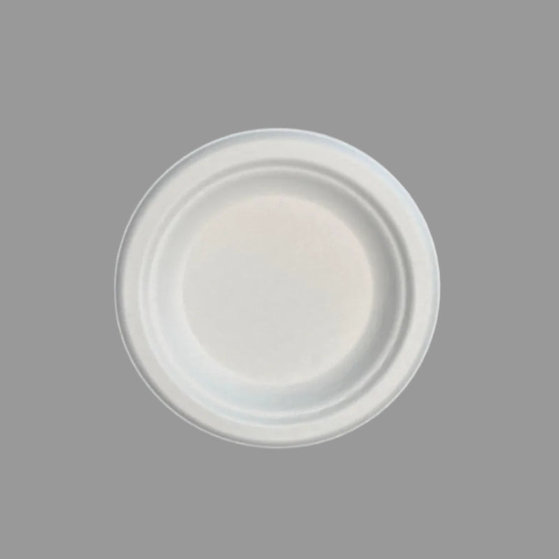 6inch Eco-Friendly Disposable Biodegradable Sugarcane Bagasse Paper Plate