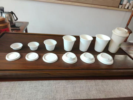 The Future of Disposable Cups Is Changing — A Manufacturer’s Perspective
