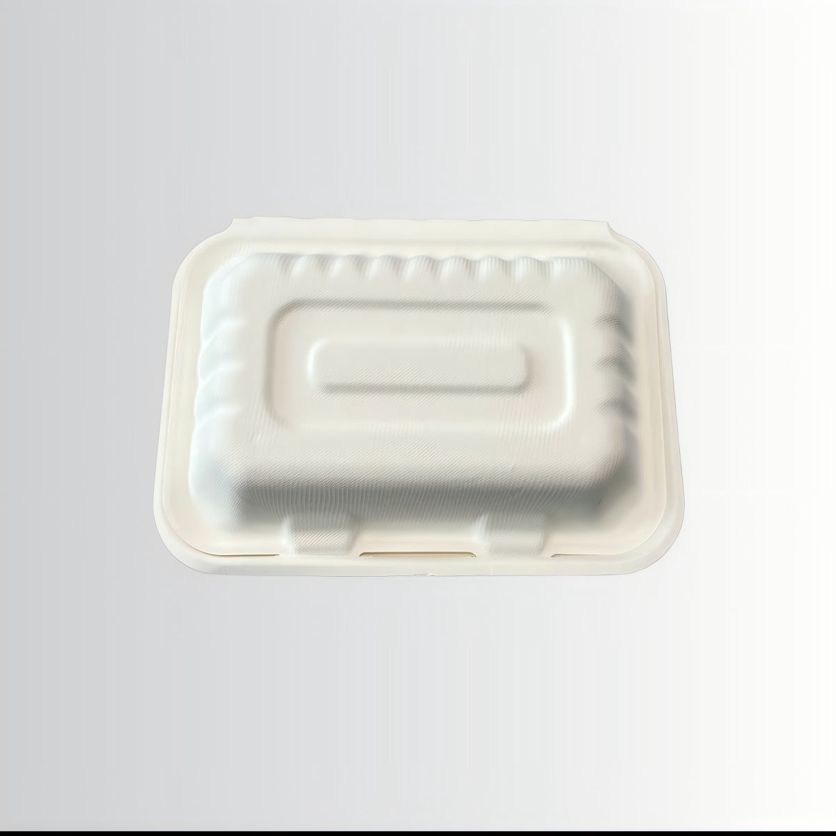 Wholesale Eco-friendly Food Grade Biodegradable Packaging Container Sugarcane Take Away Food Bagasse Packaging Lunch Box