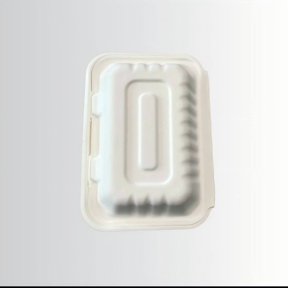 Wholesale Eco-friendly Food Grade Biodegradable Packaging Container Sugarcane Take Away Food Bagasse Packaging Lunch Box