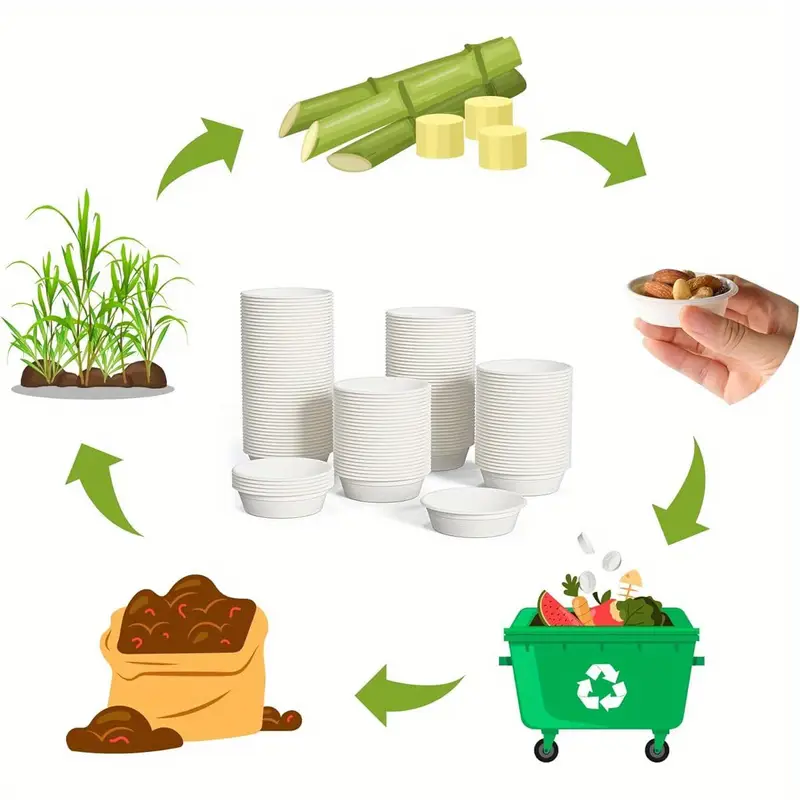 Top Seller Biodegradable Disposable Takeaway Sugarcane Pulp Sauce Cup Soup Cups and Lid
