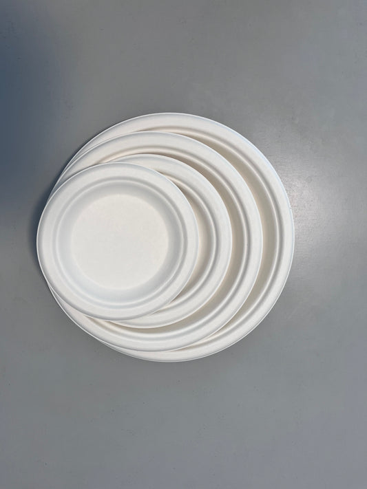 6inch Eco-Friendly Disposable Sugarcane Bagasse Paper Plate