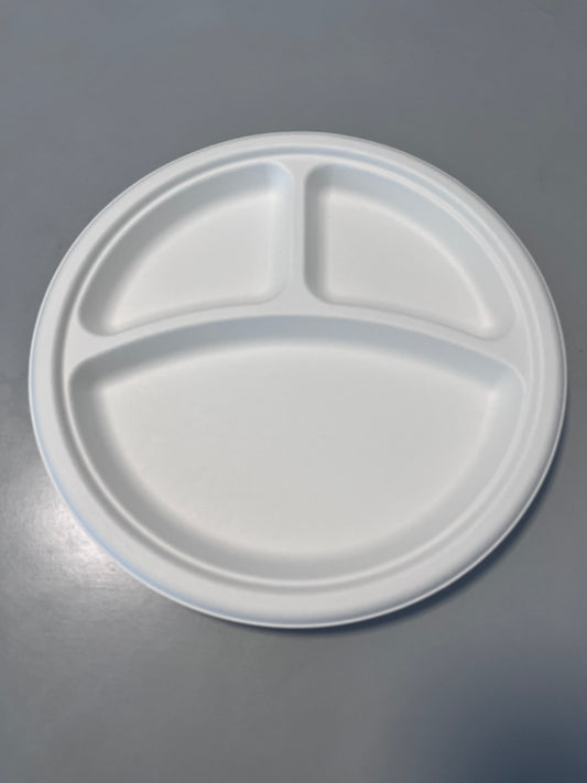 Disposable Biodegradable Sugarcane Bagasse Food Container 10inch Takeway Fast Food Lunch Box