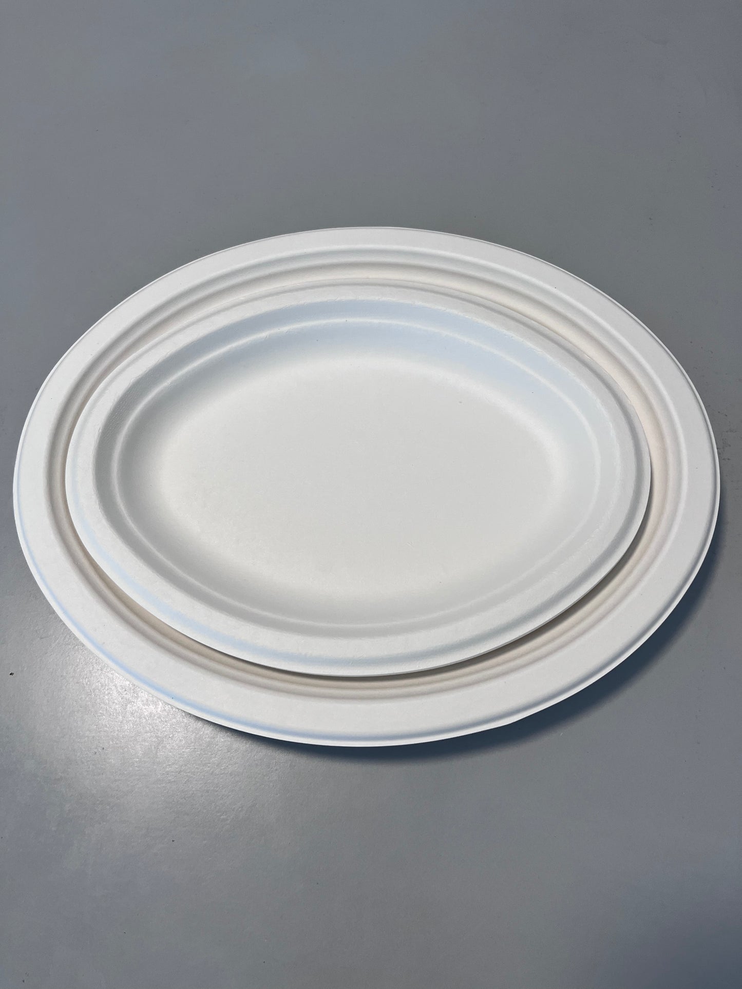 Disposable 10 Inch Plate Dish Eco-Friendly Minimalist Design Frost Bagasse Wood Tableware Environmental Protection Plant