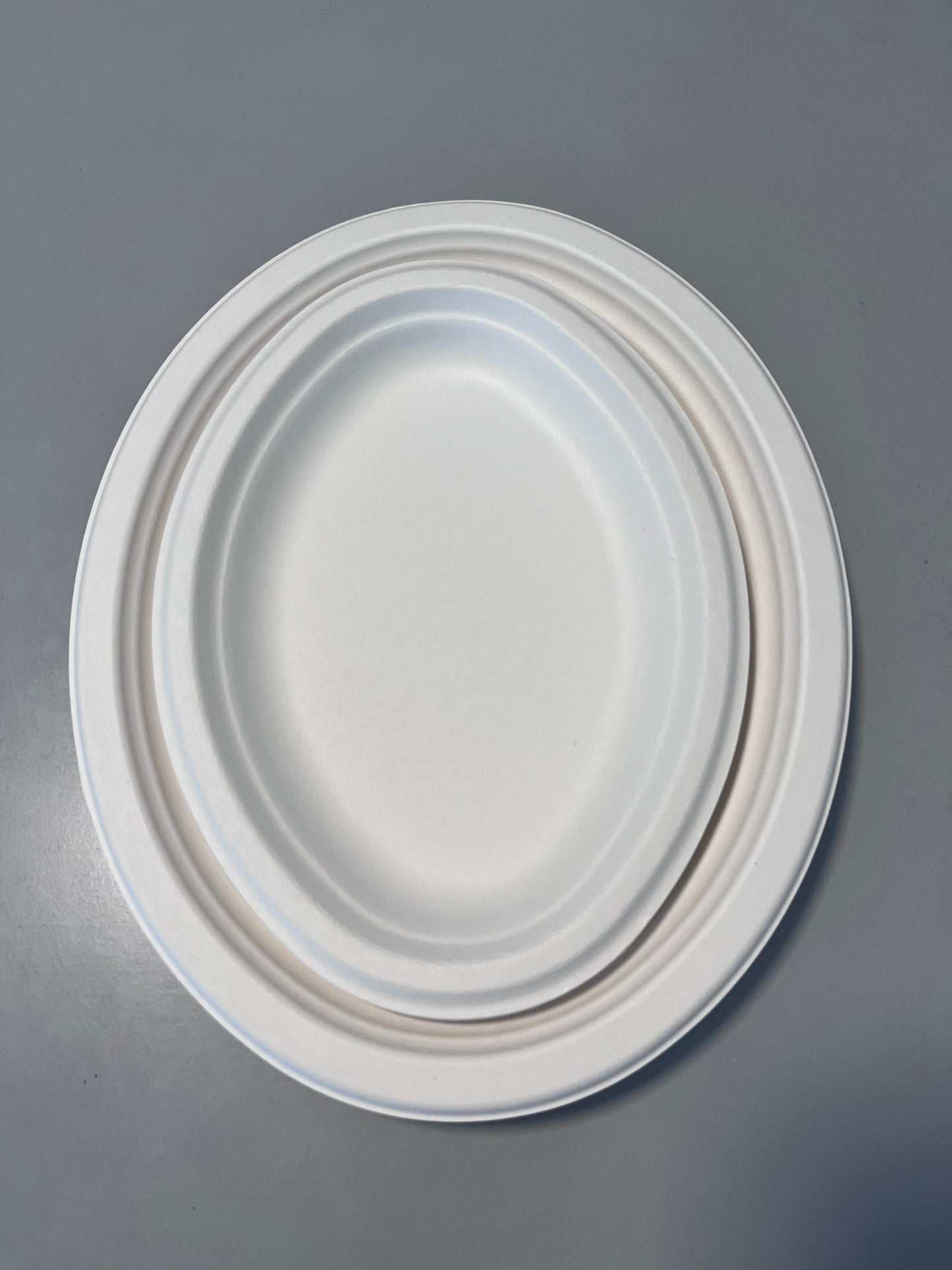 Disposable 10 Inch Plate Dish Eco-Friendly Minimalist Design Frost Bagasse Wood Tableware Environmental Protection Plant