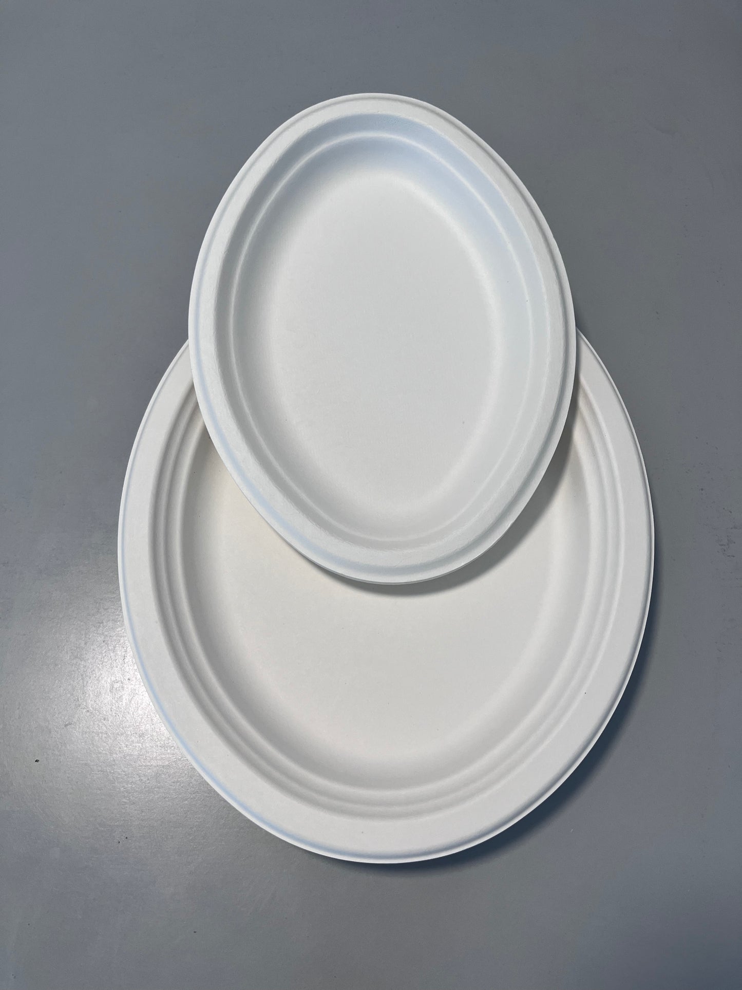 Disposable 10 Inch Plate Dish Eco-Friendly Minimalist Design Frost Bagasse Wood Tableware Environmental Protection Plant