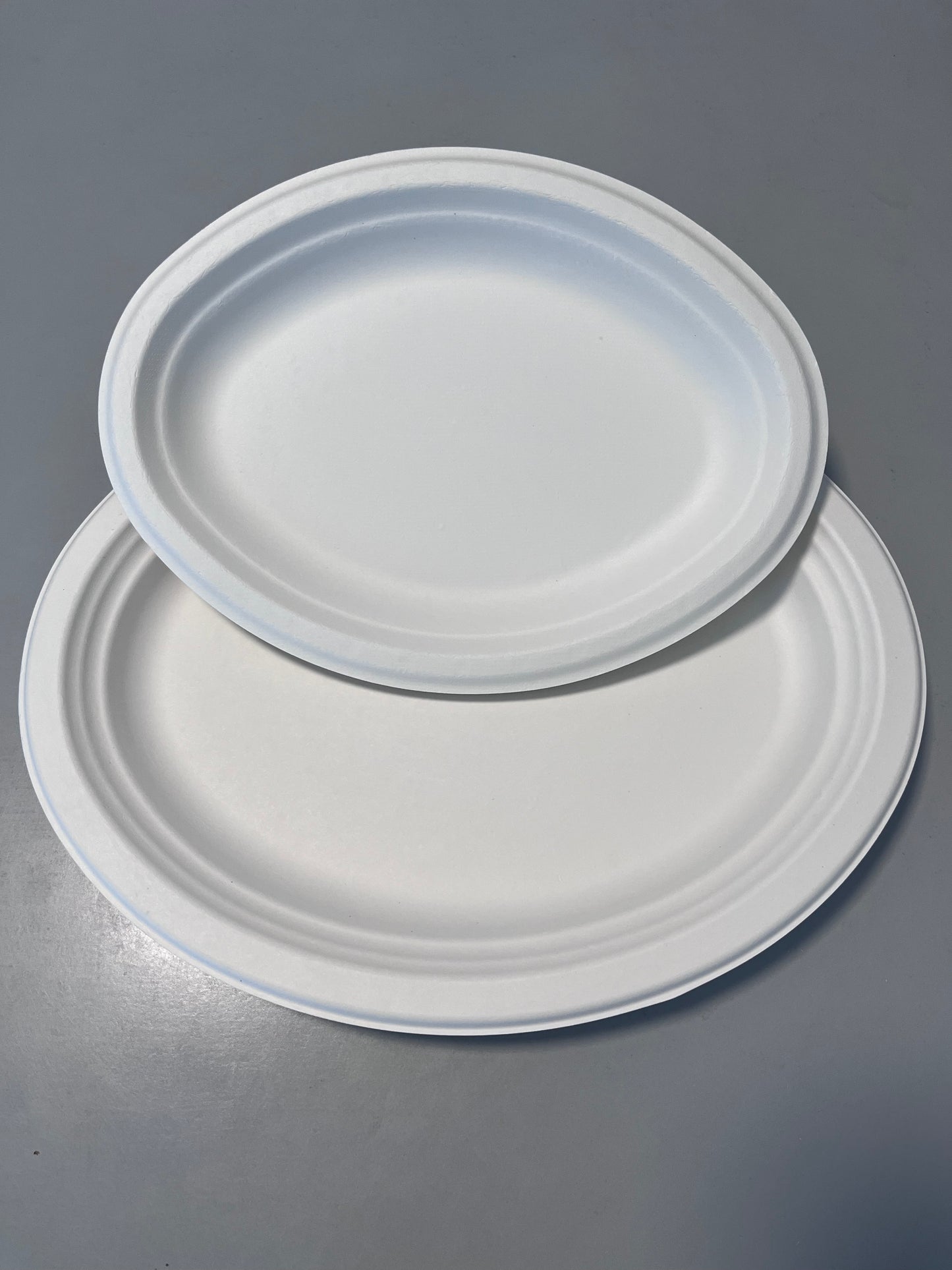 Disposable 10 Inch Plate Dish Eco-Friendly Minimalist Design Frost Bagasse Wood Tableware Environmental Protection Plant