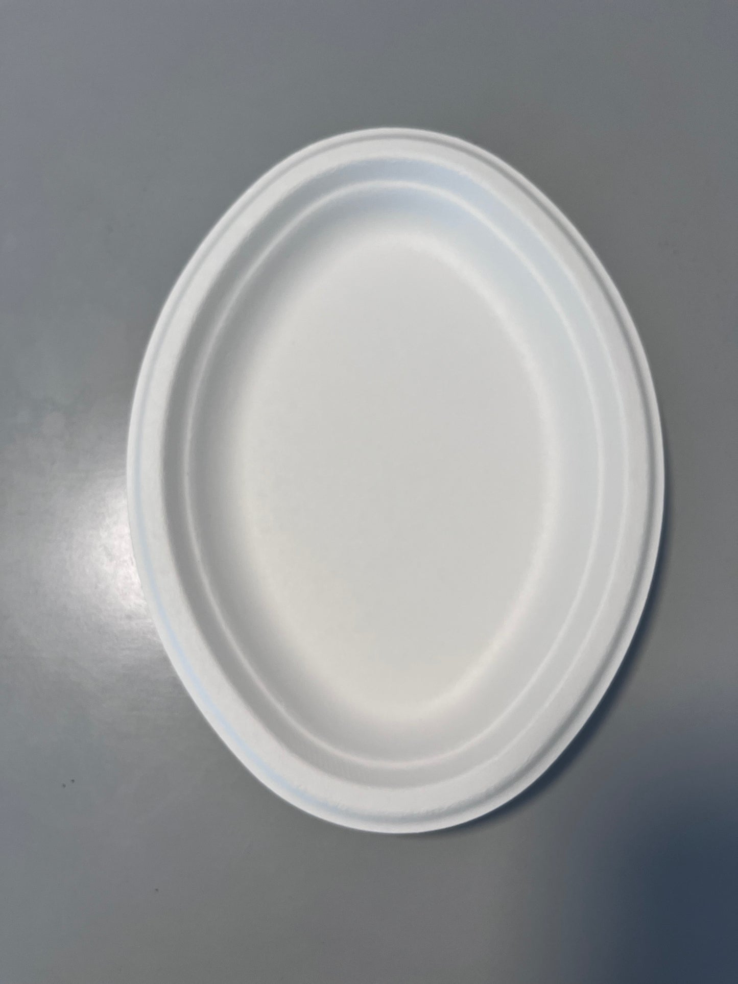Disposable 10 Inch Plate Dish Eco-Friendly Minimalist Design Frost Bagasse Wood Tableware Environmental Protection Plant