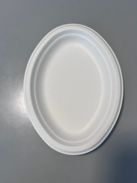 Disposable 10 Inch Plate Dish Eco-Friendly Minimalist Design Frost Bagasse Wood Tableware Environmental Protection Plant
