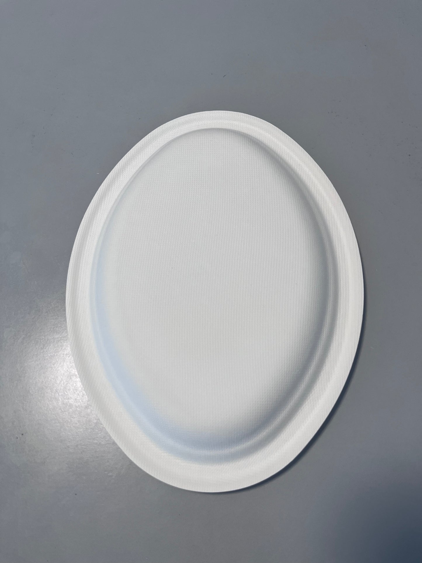 Disposable 10 Inch Plate Dish Eco-Friendly Minimalist Design Frost Bagasse Wood Tableware Environmental Protection Plant