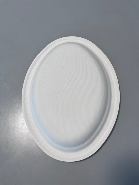 Disposable 10 Inch Plate Dish Eco-Friendly Minimalist Design Frost Bagasse Wood Tableware Environmental Protection Plant