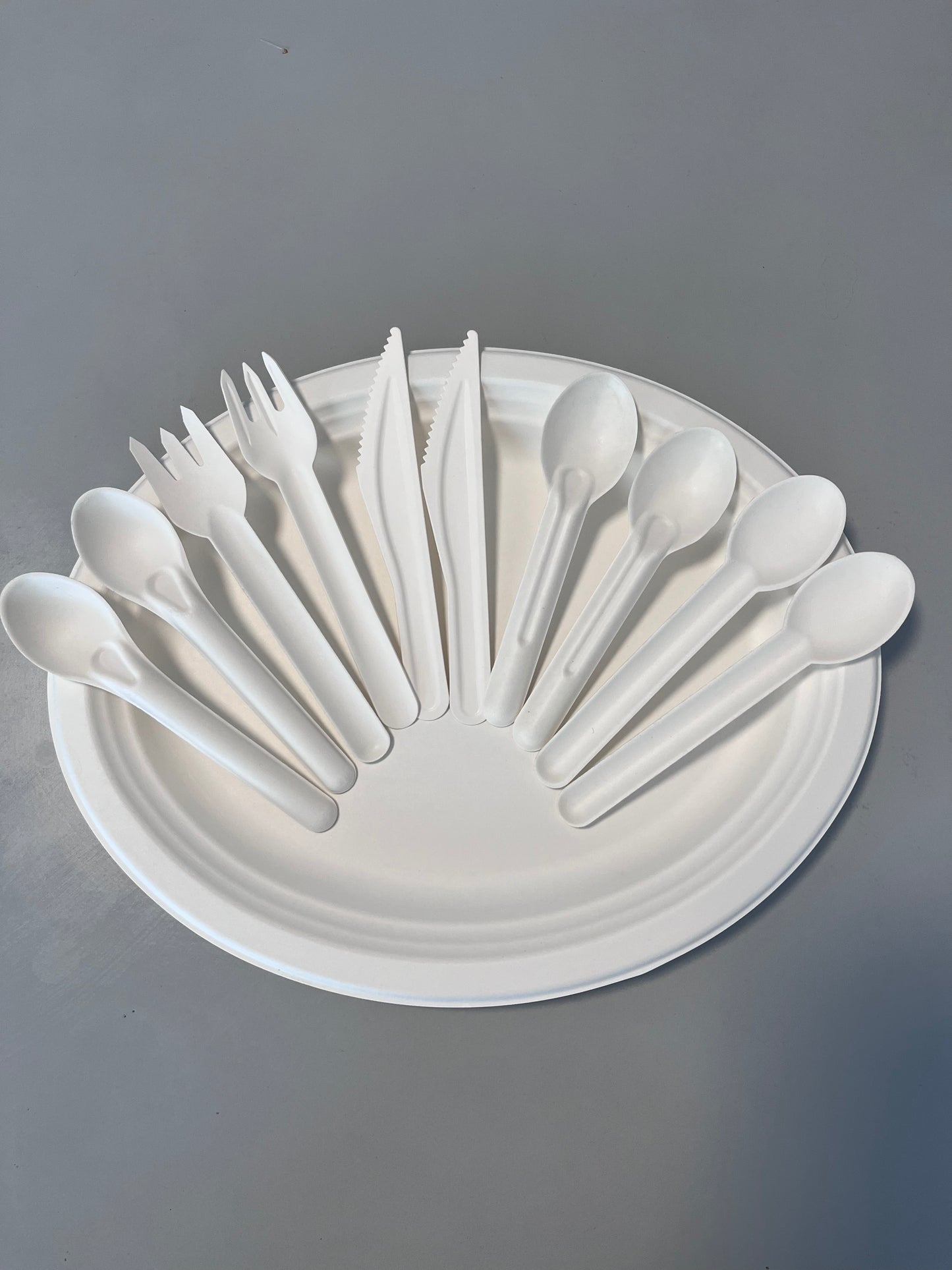 Paper Soup Spoon Biodegradable Compostable Disposable Cutlery