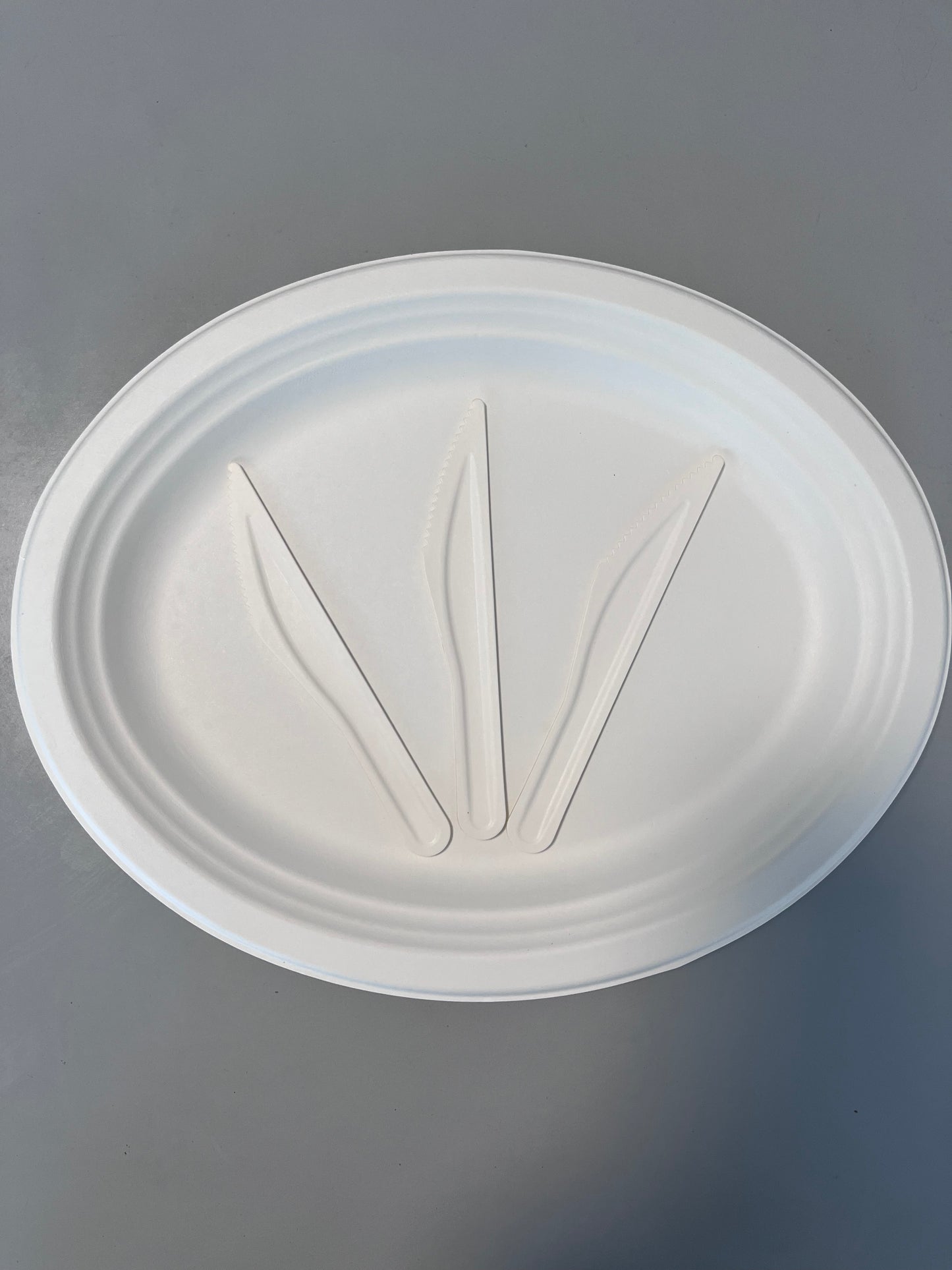 Paper Knife Biodegradable Compostable Sugarcane Bagasse Cutlery