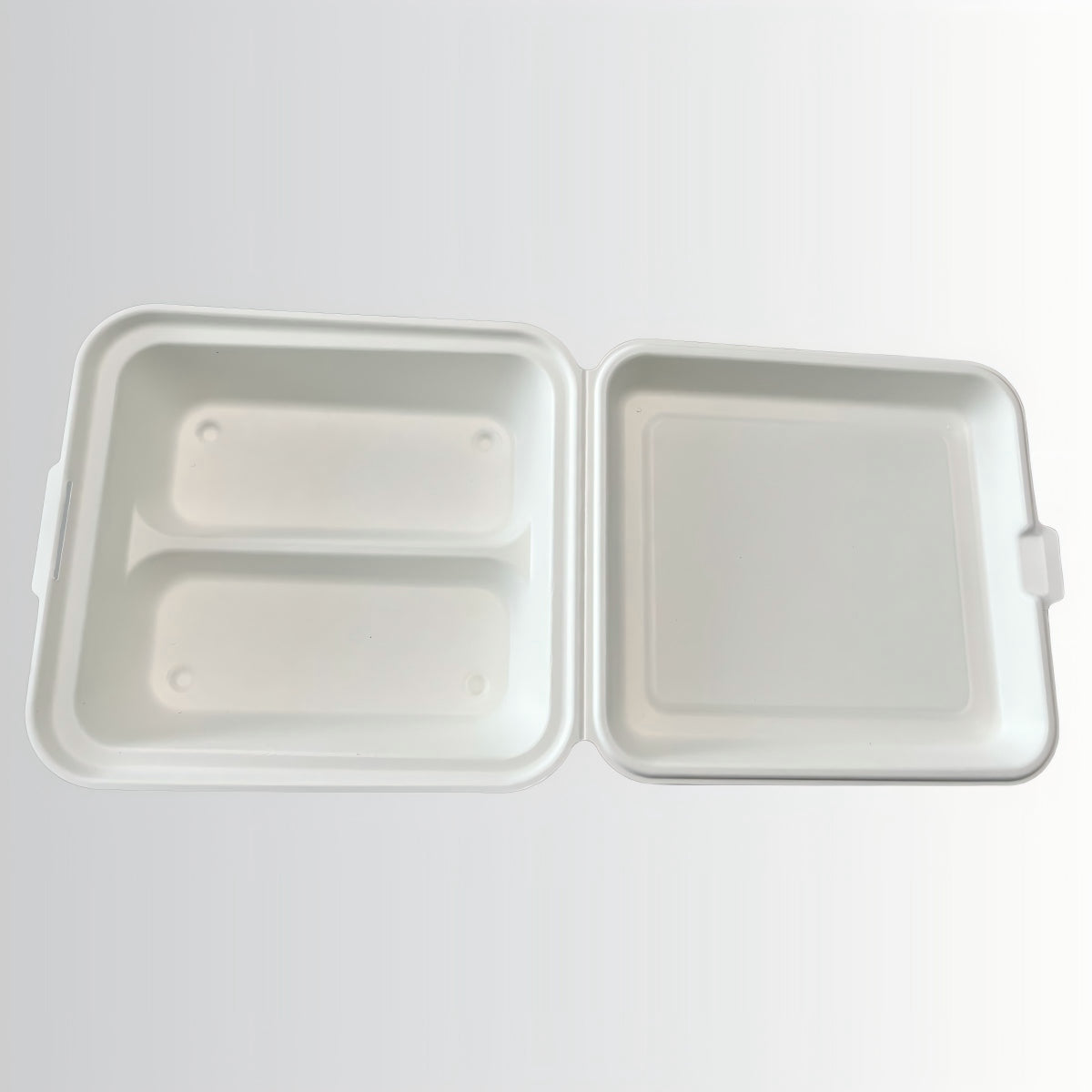 Customizable Eco-Friendly Disposable Sugarcane Bagasse Paper Pulp Mold Food Container