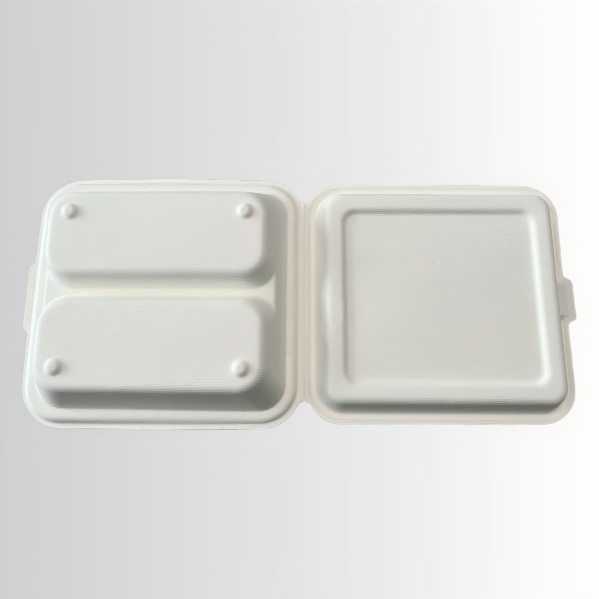 Customizable Eco-Friendly Disposable Sugarcane Bagasse Paper Pulp Mold Food Container