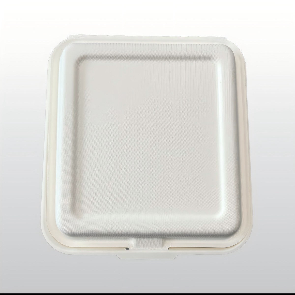 Customizable Eco-Friendly Disposable Sugarcane Bagasse Paper Pulp Mold Food Container