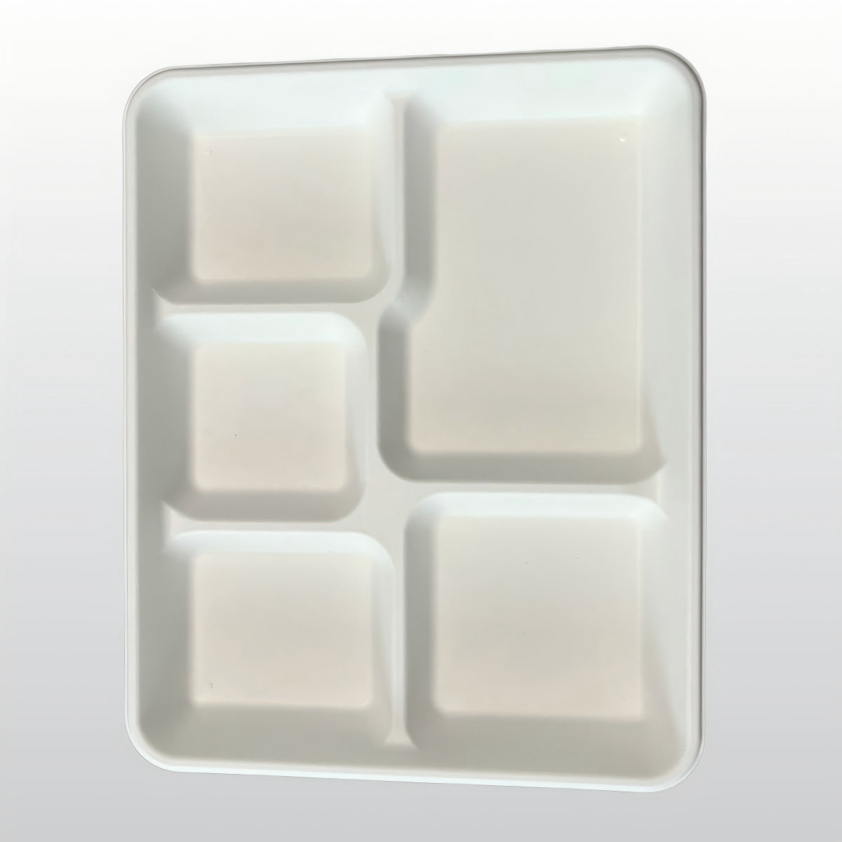 Compostable Disposable Food Container Sugarcane 5 Compartment Plate