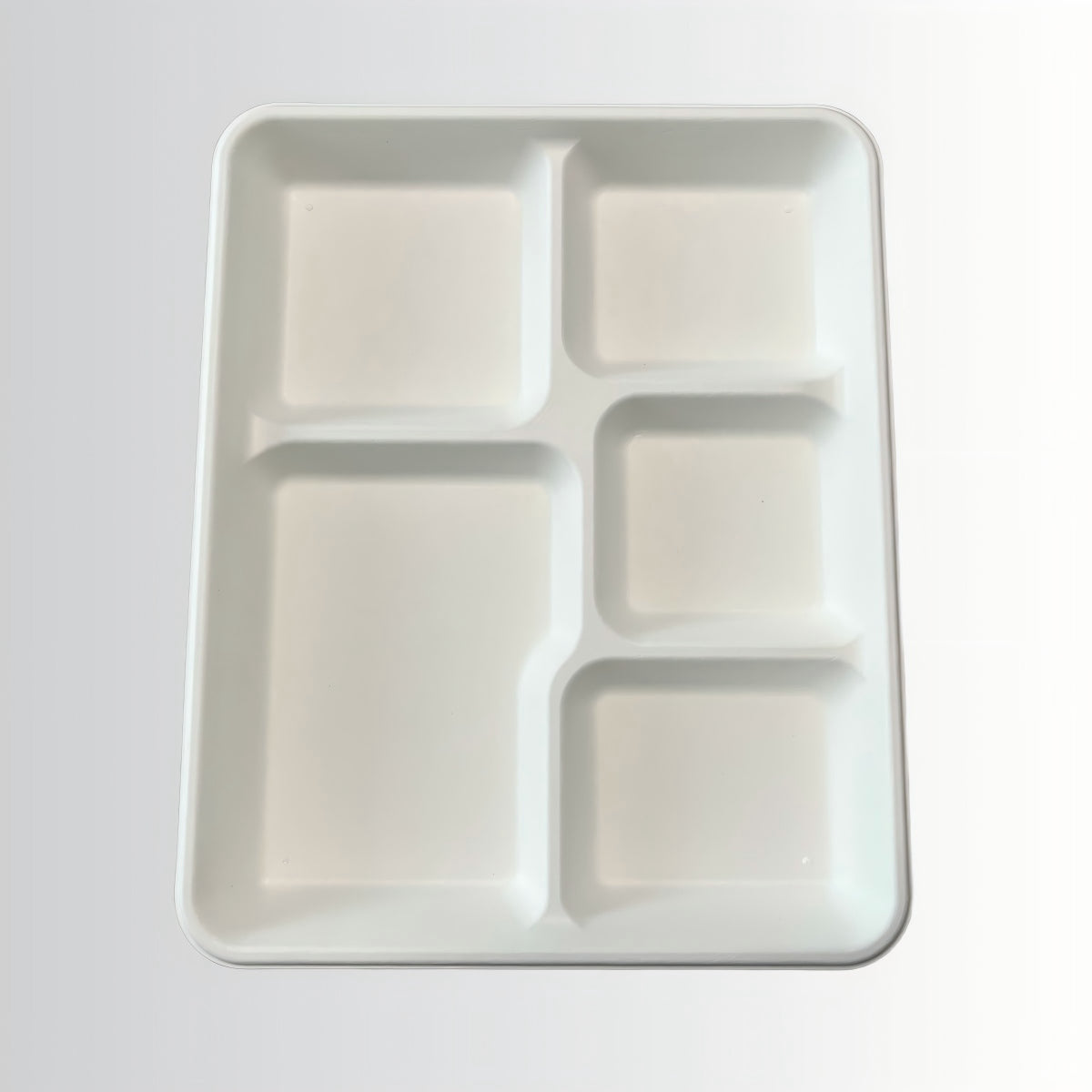 Compostable Disposable Food Container Sugarcane 5 Compartment Plate