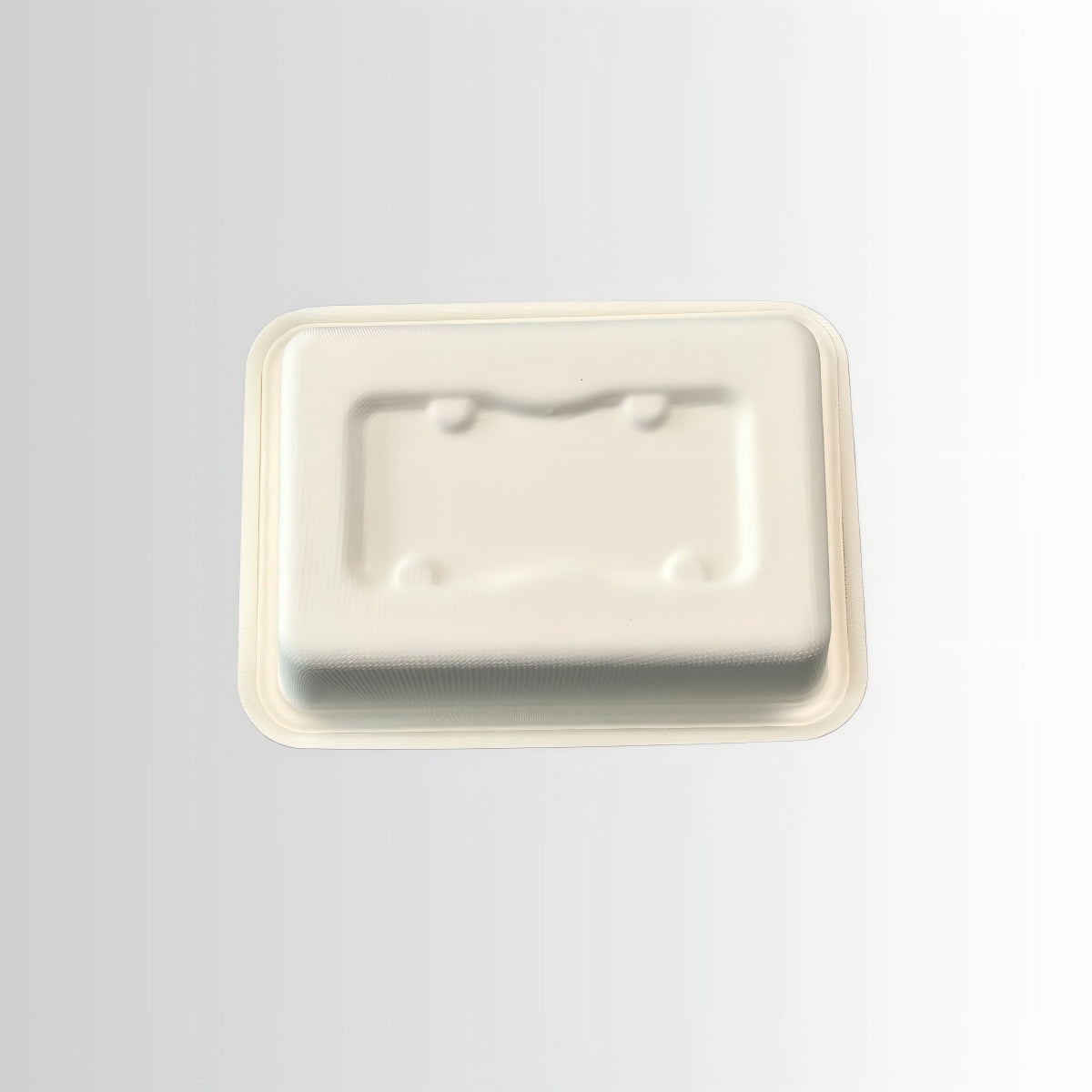 Best Selling Disposable Biodegradable Square Vegetable Box Waterproof and Oilproof Bagasse Lunch Box