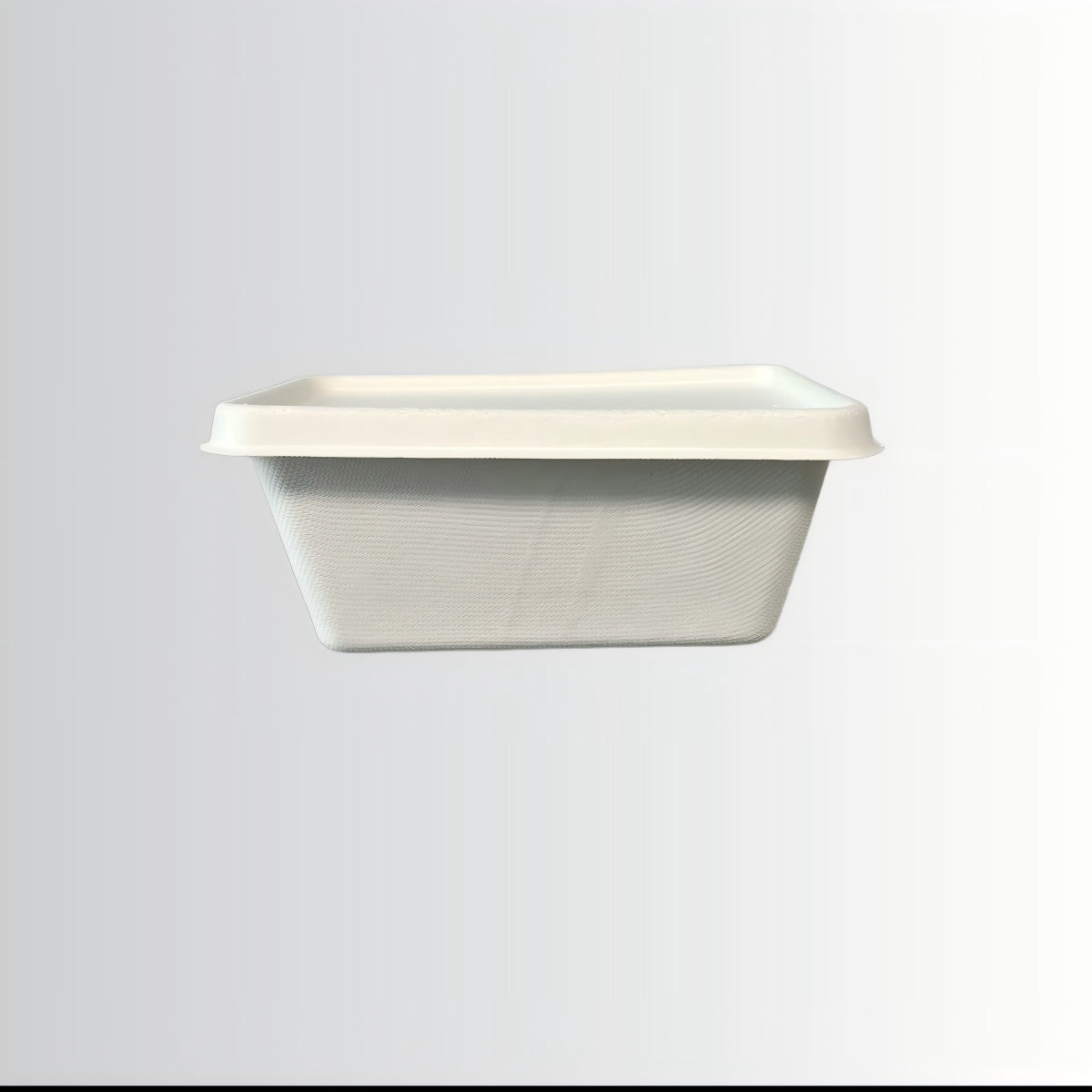 Tableware Sugarcane Bagasse Tray Food Container Rectangular Plate