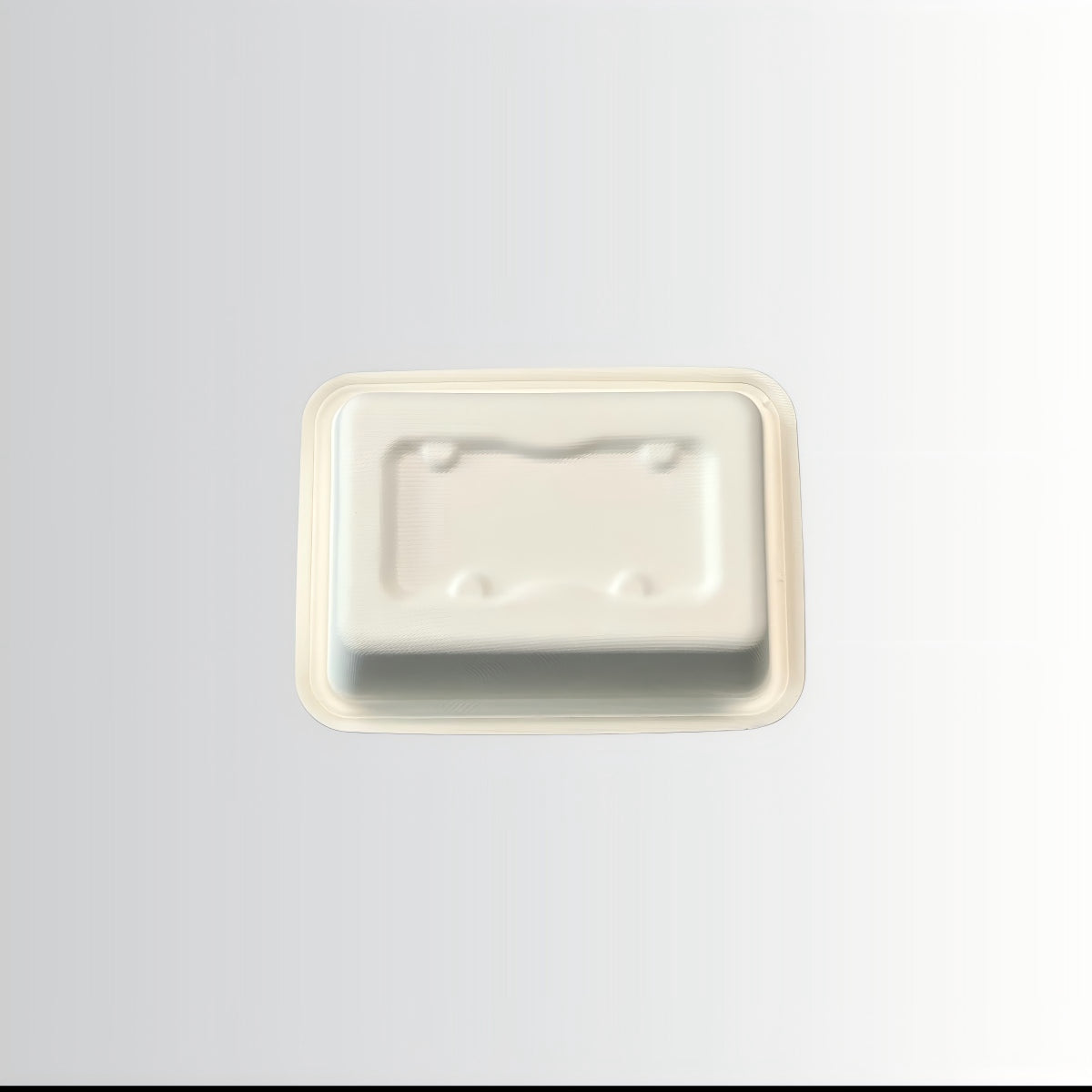 Tableware Sugarcane Bagasse Tray Food Container Rectangular Plate