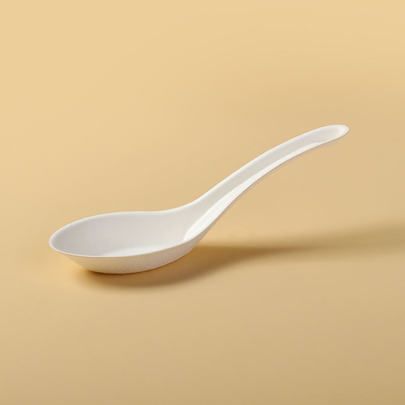 Sugarcane Bagasse Chinese Dishes Soup Spoon
