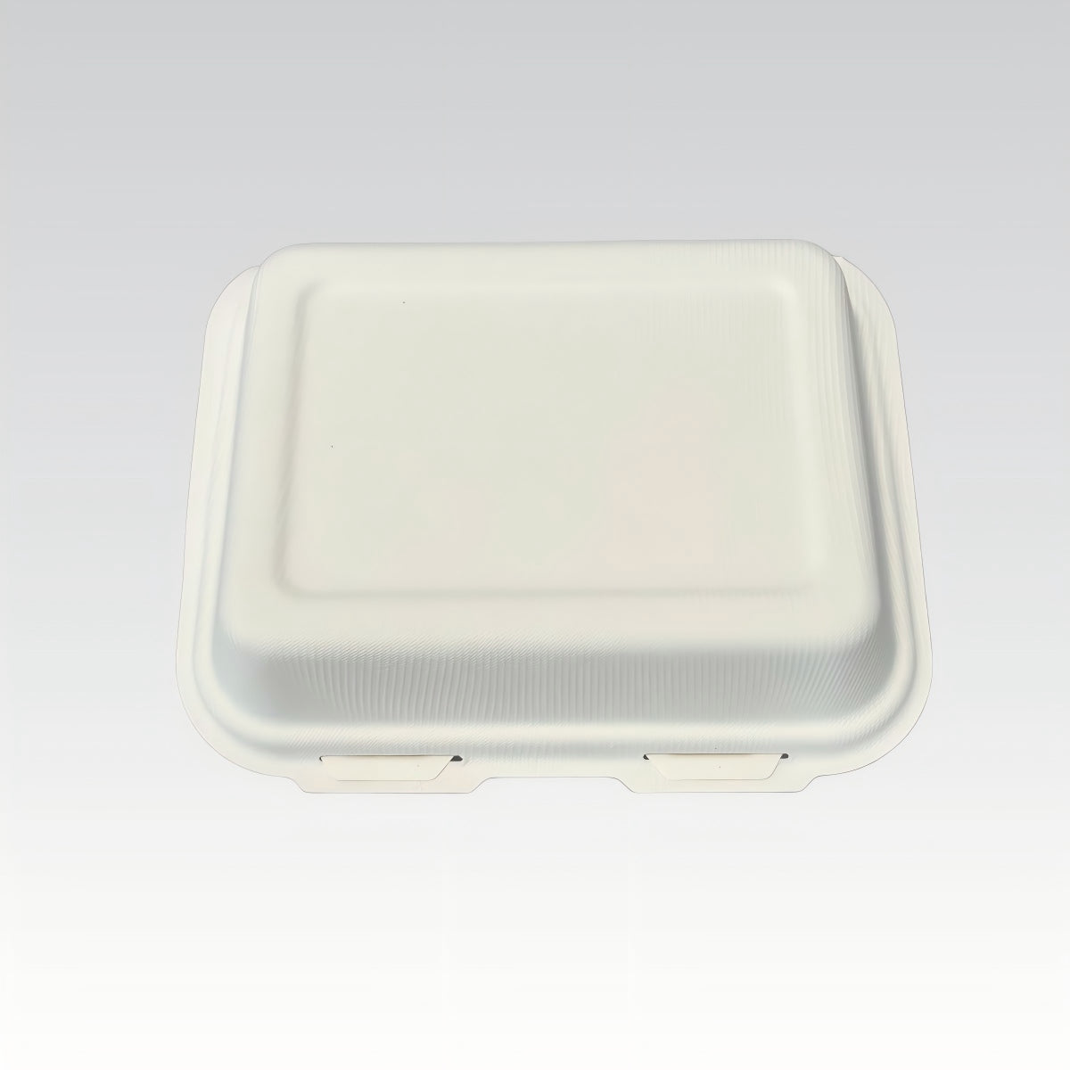 Biodegradable Customized Logo Sugarcane Fish Chips Box Takeaway Fast Food to Go Containers