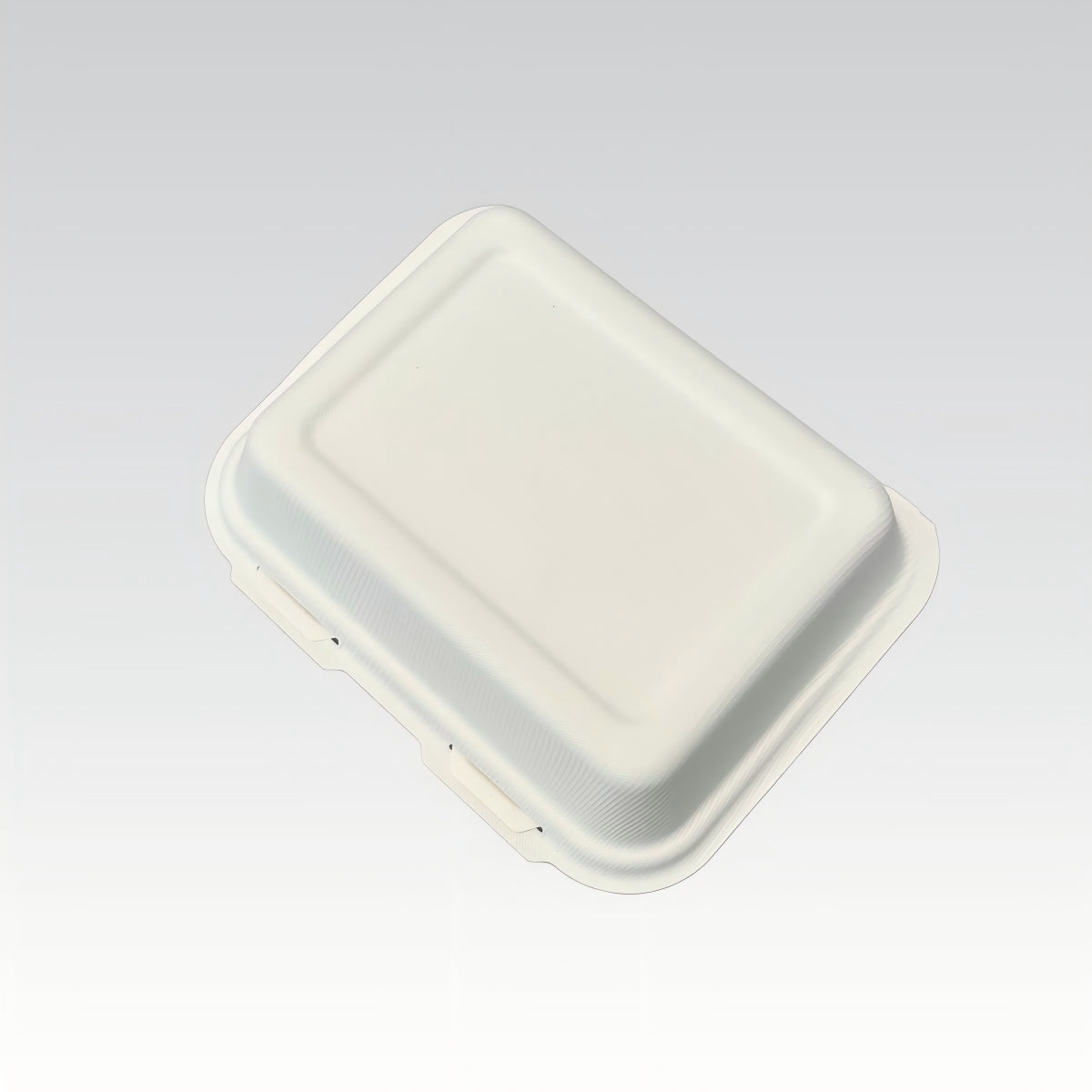 Biodegradable Customized Logo Sugarcane Fish Chips Box Takeaway Fast Food to Go Containers