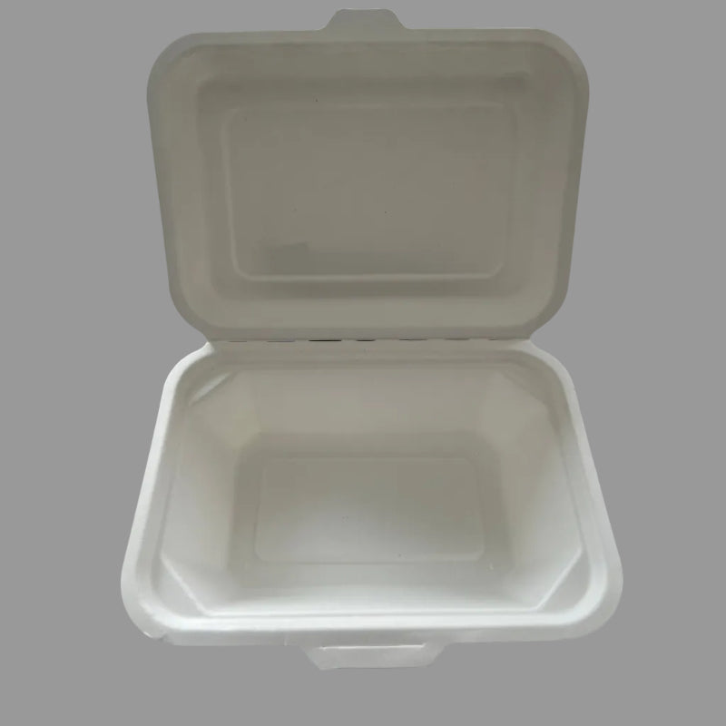 Eco Biodegradable Food Packing Container Takeway Pulp Sugarcane Bagasse Lunch Box
