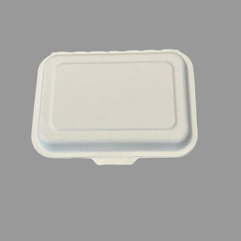 Eco Biodegradable Food Packing Container Takeway Pulp Sugarcane Bagasse Lunch Box
