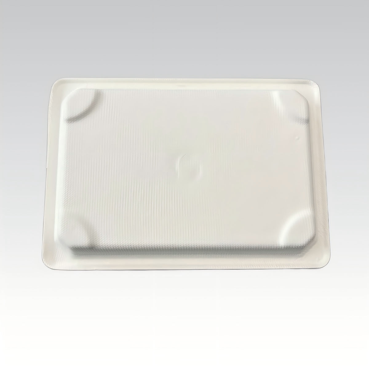 Recyclable Bagasse Sushi Packaging Tray Sugarcane Takeout Box