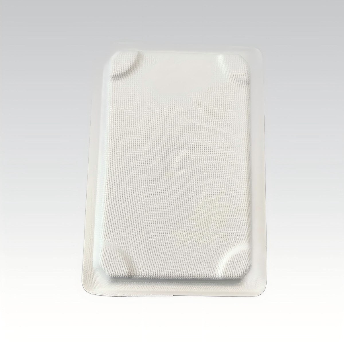Recyclable Bagasse Sushi Packaging Tray Sugarcane Takeout Box