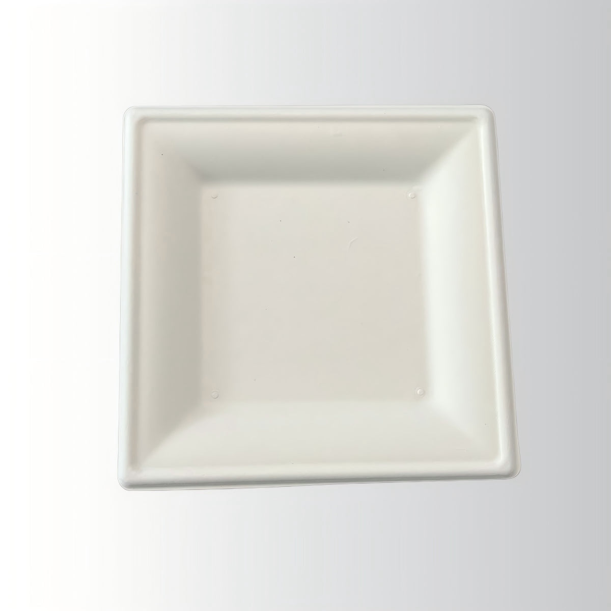 Wholesale Disposable Biodegradable Sugarcane Square Plates for Pizza Hamburger Bread Party & Wedding