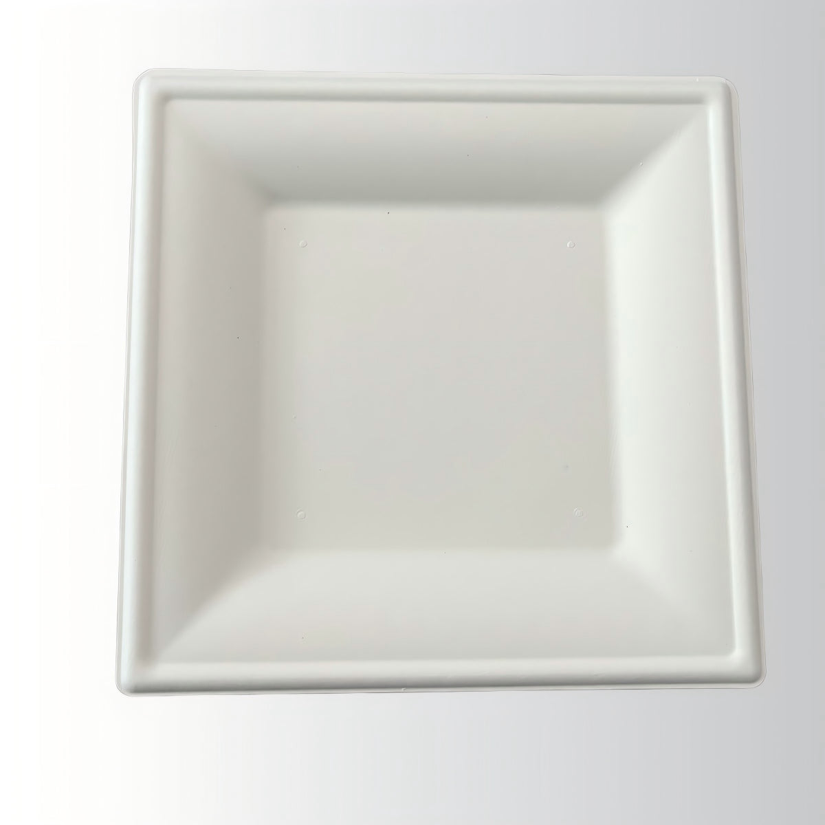 High Quality 10 Inch Heavy Duty Eco-Friendly Fully Degradable Restaurant Disposable Sugarcane Tableware Bagasse Pulp Square