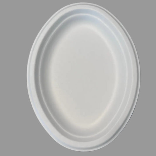 Disposable 10 Inch Plate Dish Eco-Friendly Minimalist Design Biodegradable Bagasse Tableware Environmental Protection