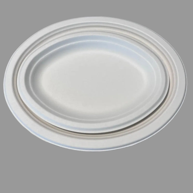 Disposable 10 Inch Plate Dish Eco-Friendly Minimalist Design Biodegradable Bagasse Tableware Environmental Protection