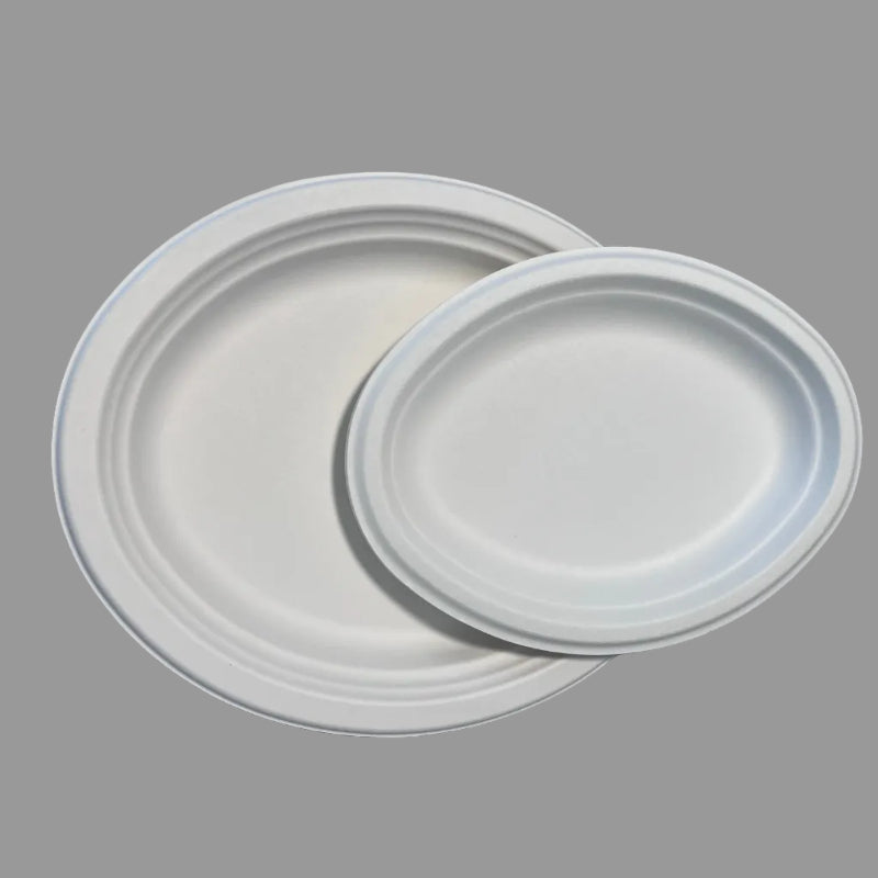 Disposable 10 Inch Plate Dish Eco-Friendly Minimalist Design Biodegradable Bagasse Tableware Environmental Protection