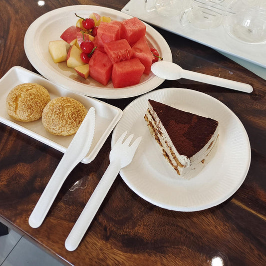 Paper Spoon Disposable Pulp Bagasse Sugarcane Cutlery Cutleri for Takeout Camping Outdoor Picnic