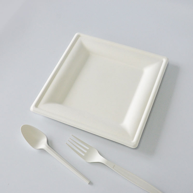 100%biodegradable Disposable Tableware Bagasse 6 Inch square Disposable Plates