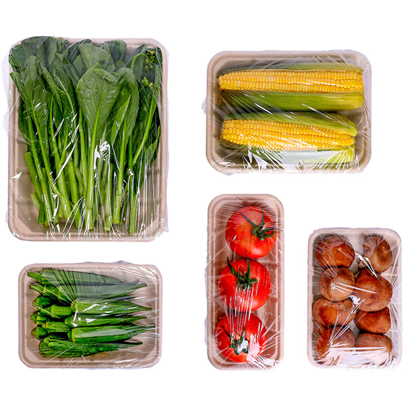 Custom Biodegradable Bagasse Disposable Food Containers Takeaway Fresh Chicken Frozen Meat Tray Portable Food Tray