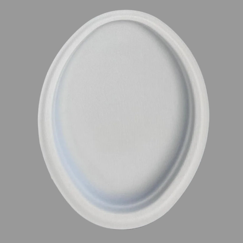 Disposable 10 Inch Plate Dish Eco-Friendly Minimalist Design Biodegradable Bagasse Tableware Environmental Protection