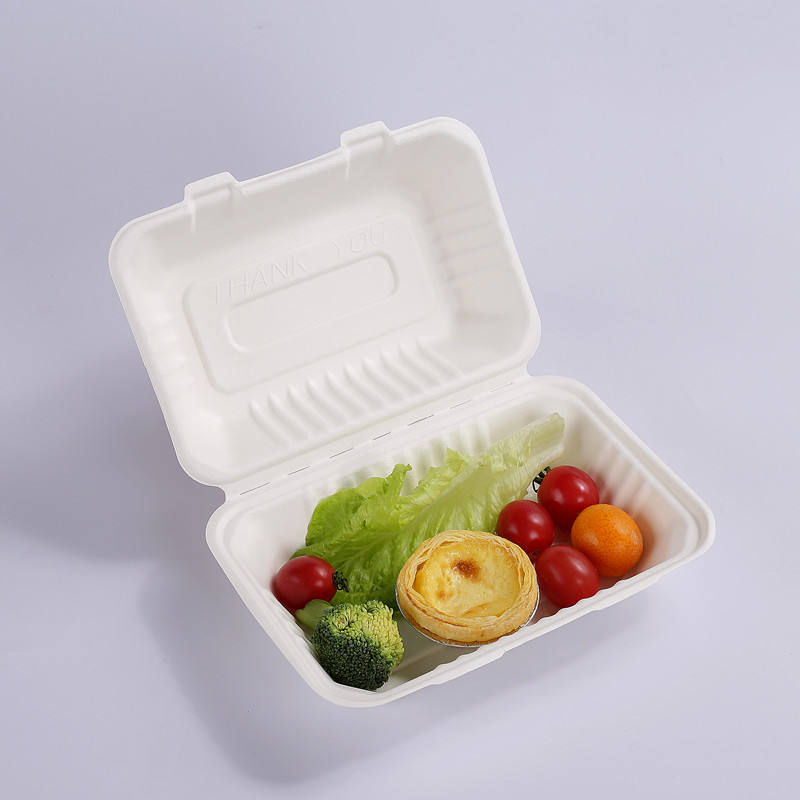 Eco-friendly sugarcane bagasse clamshell food container with fresh vegetables and dessert, biodegradable takeout packaging for restaurants and catering
