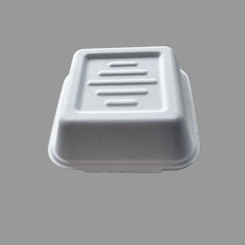 480ml Eco-friendly Biodegradable Compostable Sugarcane Food Container Clamshell Box