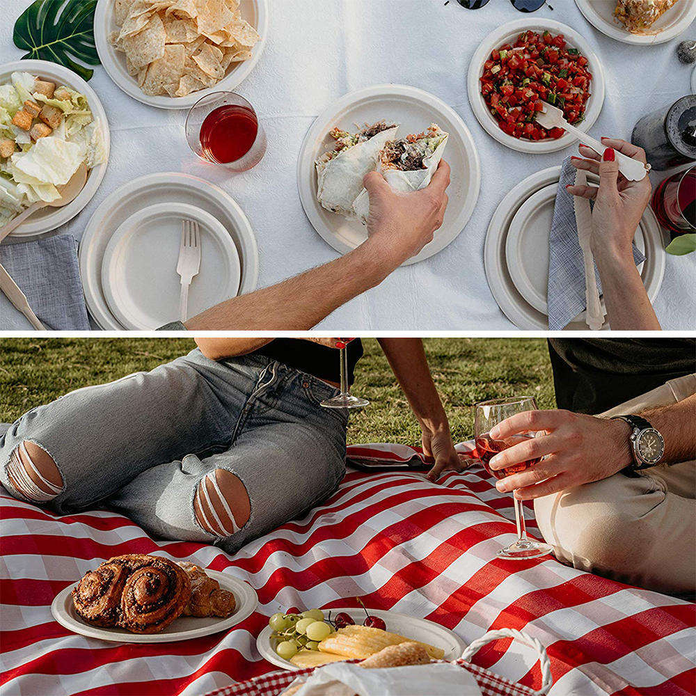 Compostable 3 Div Compartments Biodegradable Eco-Friendly Recyclable Food Grade Disposable Sugarcane Pulp Paper Plate
