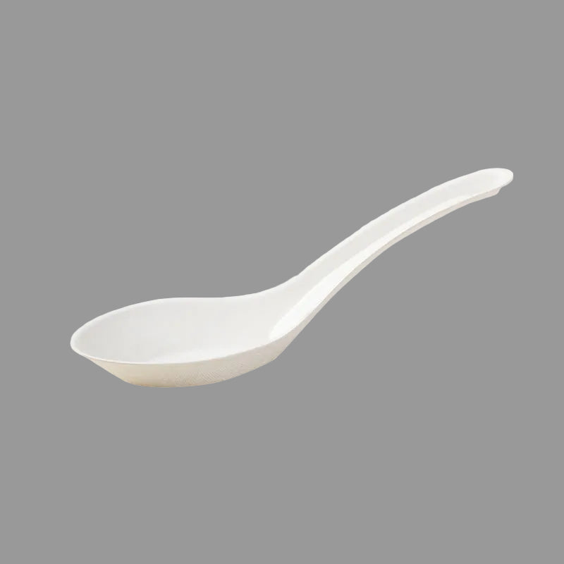 Sugarcane Bagasse Chinese Dishes Soup Spoon